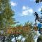 Holiday resort Bela krajina - Glamping and Mobile Homes