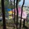 Jungle Crown Organic Homestay