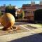 Modern apartment next to pool - Marbella