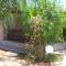 Garden House Il Poggio