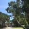 Location Mer Azur Sud