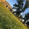 Estancia El Sosiego - Gualeguay