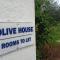 Olive house