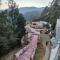 Wood Creek Resort & Spa Kasauli