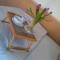 Apartmány u Bašty