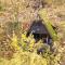 Durbuy Bungalow 194, calme et nature
