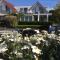 Villa Envie
