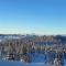 Newly built cabin with stunning views on Norefjell - Noresund