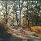 Gite de la foret - Saint-Plantaire