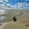 Le paillette T2 400 m de la plage Berck