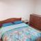 Casas en arriendo - 皮奇勒姆