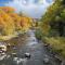Beaver Creek, Avon condo, walk to ski shuttle - on the Eagle River - 埃文