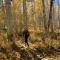 Beaver Creek, Avon condo, walk to ski shuttle - on the Eagle River - 埃文