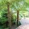 Warburton Trails Accommodation