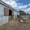 StayAU Farmstay escape Pastoral Fruit Picking
