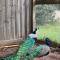 StayAU Farmstay escape Pastoral Fruit Picking