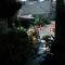 A Forest Homestay
