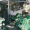 A Forest Homestay