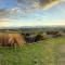 Fiordland Eco-Retreat -- Panoramic Views -- Hot Tub
