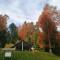 Hotel am Kurpark