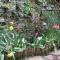Inglenook