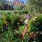 Montagu Vines Guesthouse