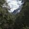 Fío Fío Patagonia