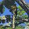 Casa Tucan 2bdr beach house AC BBQ Playa Blanca Casa Tucan 2bdr beach house AC BBQ Playa Blanca