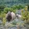 Kwandwe Private Game Reserve - Melton Manor