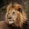 Kwandwe Private Game Reserve - Fort House