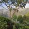 Isuru Homestay