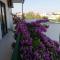Apartmani Danica