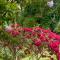 Melbourne Topview Villa in Dandenong ranges near Skyhigh - 卡洛拉马