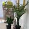 Byens Bed and Breakfast - Nakskov