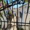 Guest House Bellaguarda
