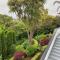 Luxury Villa on Napier Hill - 纳皮尔