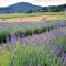 Lawendowy Raj - Pilchowice