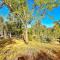 Modern Yosemite Cabin, 15min Bass Lake, Sleeps 8 - Oakhurst