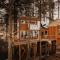 Treehouse-Small Eagles Perch over the water
