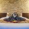 3Bedroom - 703 - Private Pool Villa Sanur 3Bedroom - 703 - Private Pool Villa Sanur