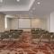Ramada by Wyndham Bucharest Otopeni Airport - 奥托佩尼