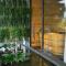 Pagoda View 1 - Hanoi
