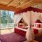 Deventure Shimla Hills