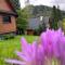 Reset Bieszczady