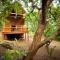 Amafu Forest Lodge - Hoedspruit