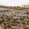 Sea Breeze Resort, Beachfront apartment with a balcony and sea view