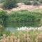 TungaBhadra River View Resort Hampi - 亨比