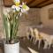 Elena Casa Turistica