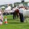 Pheasant Lodge Scottish Borders - 卡莱尔