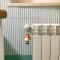 Modern Apartment in Gioia del Colle Fenced Garden 50 m²